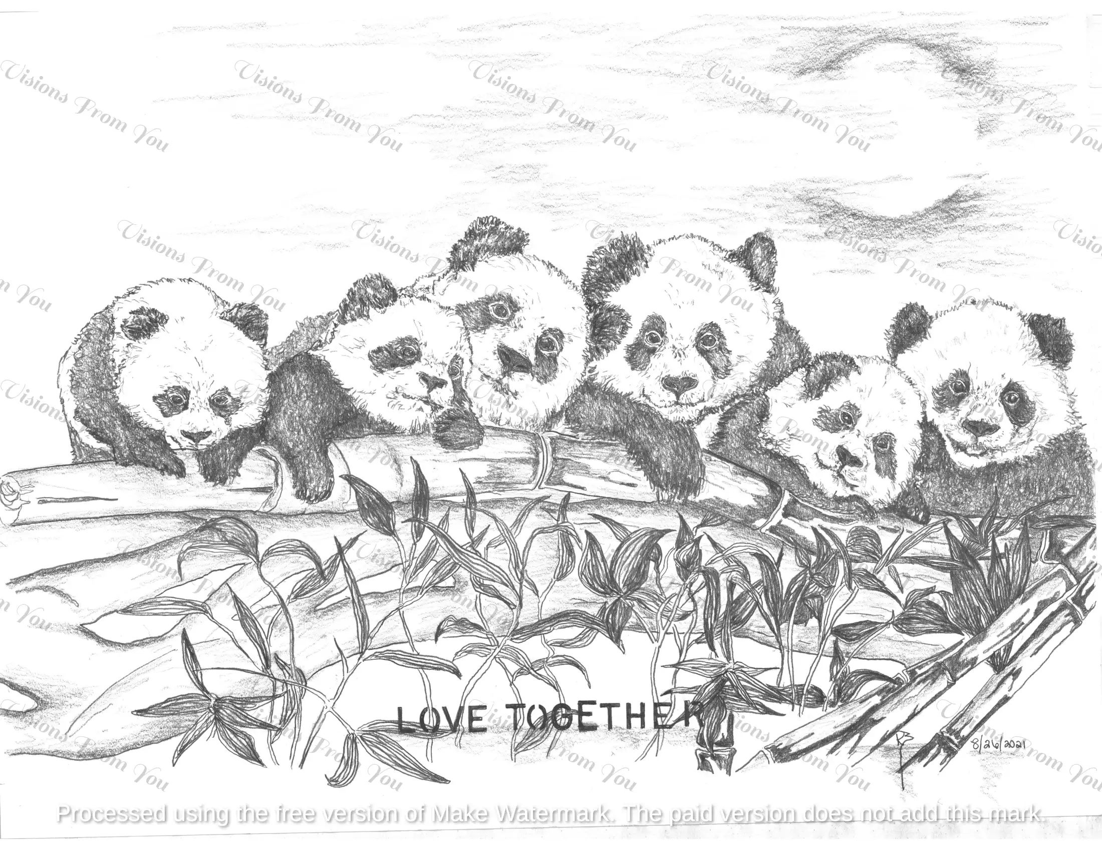 Panda Family